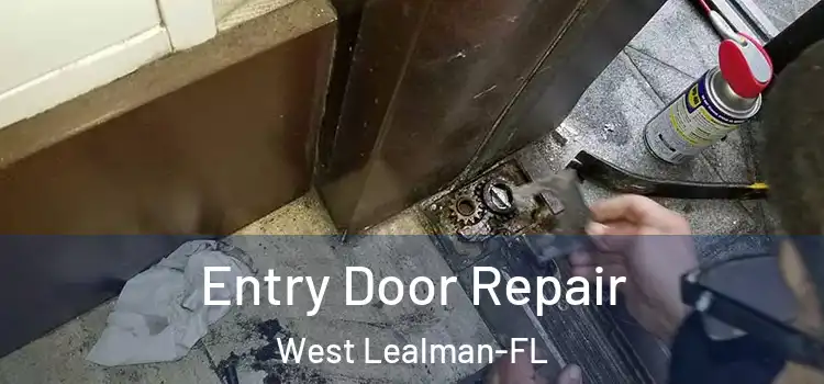  Entry Door Repair West Lealman-FL
