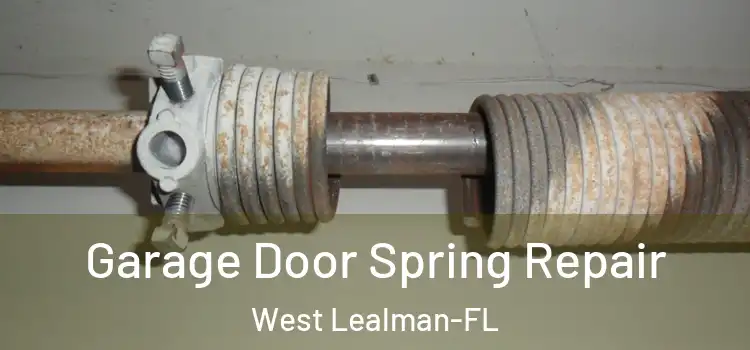  Garage Door Spring Repair West Lealman-FL