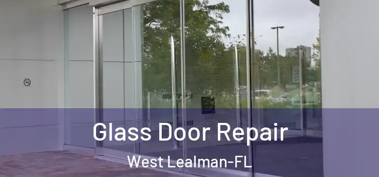  Glass Door Repair West Lealman-FL