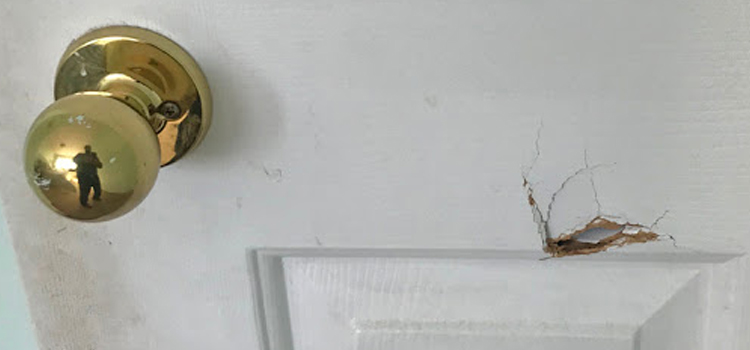 interior door hole repair West Lealman