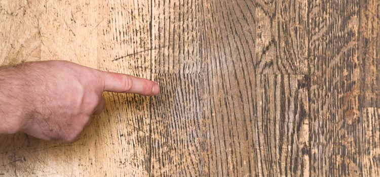 Wood Door Scratch Repair in West Lealman