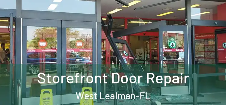  Storefront Door Repair West Lealman-FL